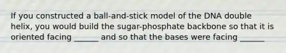 If you constructed a ball-and-stick model of the DNA double helix, you would build the sugar-phosphate backbone so that it is oriented facing ______ and so that the bases were facing ______