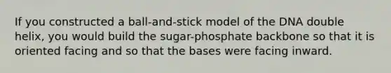 If you constructed a ball-and-stick model of the DNA double helix, you would build the sugar-phosphate backbone so that it is oriented facing and so that the bases were facing inward.