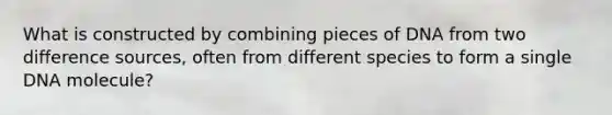 What is constructed by combining pieces of DNA from two difference sources, often from different species to form a single DNA molecule?