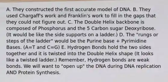 A. They constructed the first accurate model of DNA. B. They used Chargaff's work and Franklin's work to fill in the gaps that they could not figure out. C. The Double Helix backbone is composed of Phosphorus and the 5 Carbon sugar Deoxyribose. (It would be like the side supports on a ladder.) D. The "rungs or steps of the ladder" would be the Purine base + Pyrimidine Bases. (A=T and C=G) E. Hydrogen Bonds hold the two sides together and it is twisted into the Double Helix shape (It looks like a twisted ladder.) Remember, Hydrogen bonds are weak bonds. We will want to "open up" the DNA during DNA replication AND Protein Synthesis.