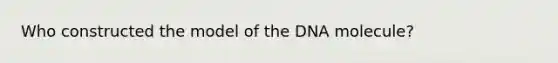 Who constructed the model of the DNA molecule?