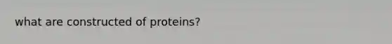 what are constructed of proteins?