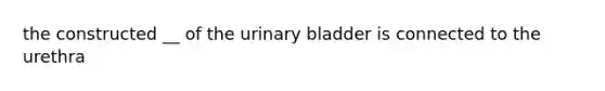 the constructed __ of the urinary bladder is connected to the urethra