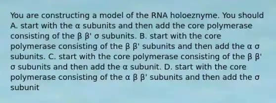 You are constructing a model of the RNA holoeznyme. You should A. start with the α subunits and then add the core polymerase consisting of the β β' σ subunits. B. start with the core polymerase consisting of the β β' subunits and then add the α σ subunits. C. start with the core polymerase consisting of the β β' σ subunits and then add the α subunit. D. start with the core polymerase consisting of the α β β' subunits and then add the σ subunit