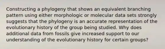 Constructing a phylogeny that shows an equivalent branching pattern using either morphologic or molecular data sets strongly suggests that the phylogeny is an accurate representation of the evolutionary history of the group being studied. Why does additional data from fossils give increased support to our understanding of the evolutionary history for certain groups?