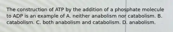 The construction of ATP by the addition of a phosphate molecule to ADP is an example of A. neither anabolism nor catabolism. B. catabolism. C. both anabolism and catabolism. D. anabolism.
