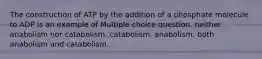 The construction of ATP by the addition of a phosphate molecule to ADP is an example of Multiple choice question. neither anabolism nor catabolism. catabolism. anabolism. both anabolism and catabolism.