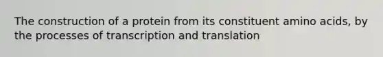 The construction of a protein from its constituent amino acids, by the processes of transcription and translation