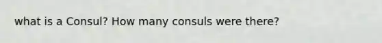 what is a Consul? How many consuls were there?