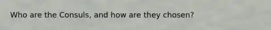 Who are the Consuls, and how are they chosen?