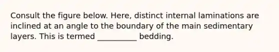 Consult the figure below. Here, distinct internal laminations are inclined at an angle to the boundary of the main sedimentary layers. This is termed __________ bedding.