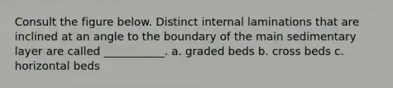 Consult the figure below. Distinct internal laminations that are inclined at an angle to the boundary of the main sedimentary layer are called ___________. a. graded beds b. cross beds c. horizontal beds