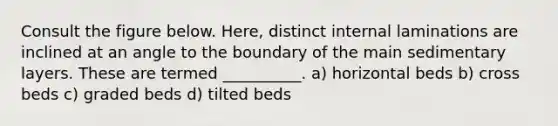 Consult the figure below. Here, distinct internal laminations are inclined at an angle to the boundary of the main sedimentary layers. These are termed __________. a) horizontal beds b) cross beds c) graded beds d) tilted beds