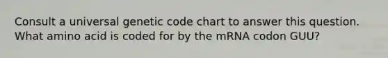 Consult a universal genetic code chart to answer this question. What amino acid is coded for by the mRNA codon GUU?