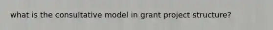 what is the consultative model in grant project structure?