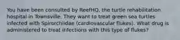 You have been consulted by ReefHQ, the turtle rehabilitation hospital in Townsville. They want to treat green sea turtles infected with Spirorchiidae (cardiovascular flukes). What drug is administered to treat infections with this type of flukes?