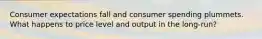 Consumer expectations fall and consumer spending plummets. What happens to price level and output in the long-run?