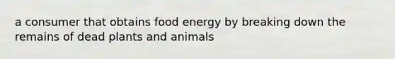 a consumer that obtains food energy by breaking down the remains of dead plants and animals