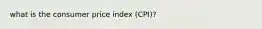 what is the consumer price index (CPI)?