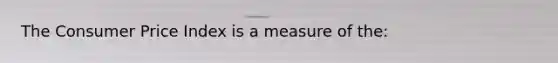 The Consumer Price Index is a measure of the: