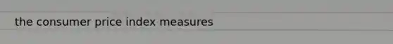 the consumer price index measures