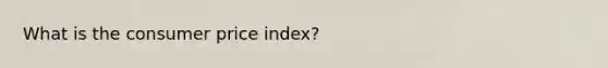 What is the consumer price index?