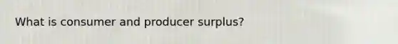 What is consumer and producer surplus?