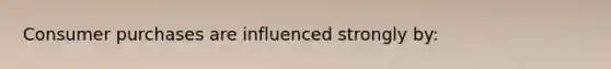 Consumer purchases are influenced strongly by: