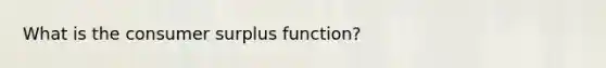 What is the consumer surplus function?