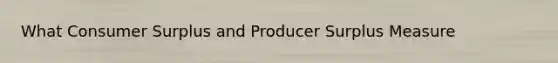 What Consumer Surplus and Producer Surplus Measure