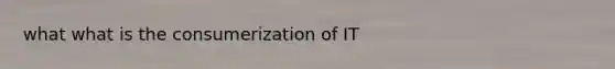 what what is the consumerization of IT