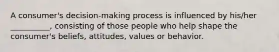 A consumer's decision-making process is influenced by his/her __________, consisting of those people who help shape the consumer's beliefs, attitudes, values or behavior.