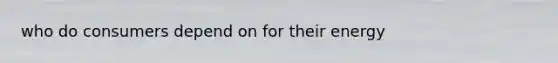 who do consumers depend on for their energy