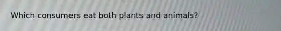 Which consumers eat both plants and animals?