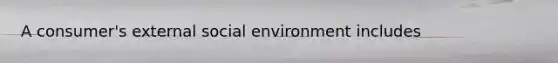 A consumer's external social environment includes