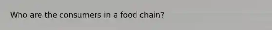 Who are the consumers in a food chain?