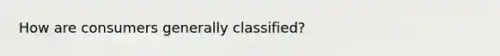 How are consumers generally classified?