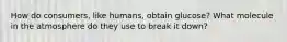 How do consumers, like humans, obtain glucose? What molecule in the atmosphere do they use to break it down?