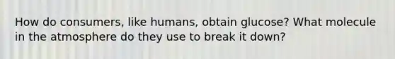 How do consumers, like humans, obtain glucose? What molecule in the atmosphere do they use to break it down?