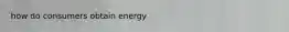 how do consumers obtain energy