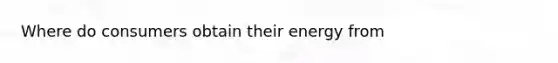 Where do consumers obtain their energy from