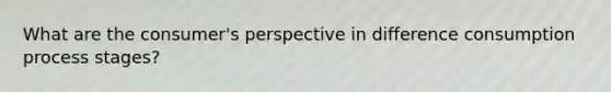 What are the consumer's perspective in difference consumption process stages?