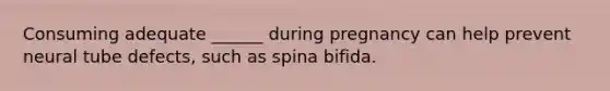 Consuming adequate ______ during pregnancy can help prevent neural tube defects, such as spina bifida.