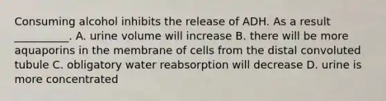 Consuming alcohol inhibits the release of ADH. As a result __________. A. urine volume will increase B. there will be more aquaporins in the membrane of cells from the distal convoluted tubule C. obligatory water reabsorption will decrease D. urine is more concentrated