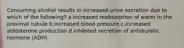 Consuming alcohol results in increased urine excretion due to which of the following? a.increased reabsorption of water in the proximal tubule b.increased blood pressure c.increased aldosterone production d.inhibited secretion of antidiuretic hormone (ADH)