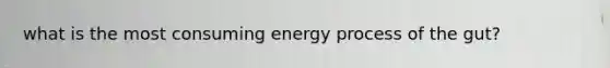 what is the most consuming energy process of the gut?