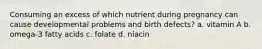 Consuming an excess of which nutrient during pregnancy can cause developmental problems and birth defects? a. vitamin A b. omega-3 fatty acids c. folate d. niacin