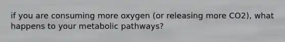 if you are consuming more oxygen (or releasing more CO2), what happens to your <a href='https://www.questionai.com/knowledge/knsdYmc5Au-metabolic-pathways' class='anchor-knowledge'>metabolic pathways</a>?