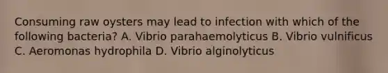Consuming raw oysters may lead to infection with which of the following bacteria? A. Vibrio parahaemolyticus B. Vibrio vulnificus C. Aeromonas hydrophila D. Vibrio alginolyticus