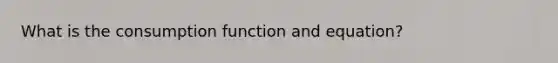 What is the consumption function and equation?